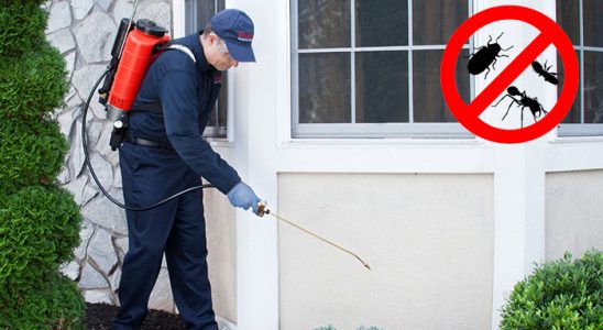 Suşehri Böcek ve Haşere İlaçlama böcek ilaçlama ve haşere kontrolü — ilaclama-tr.com